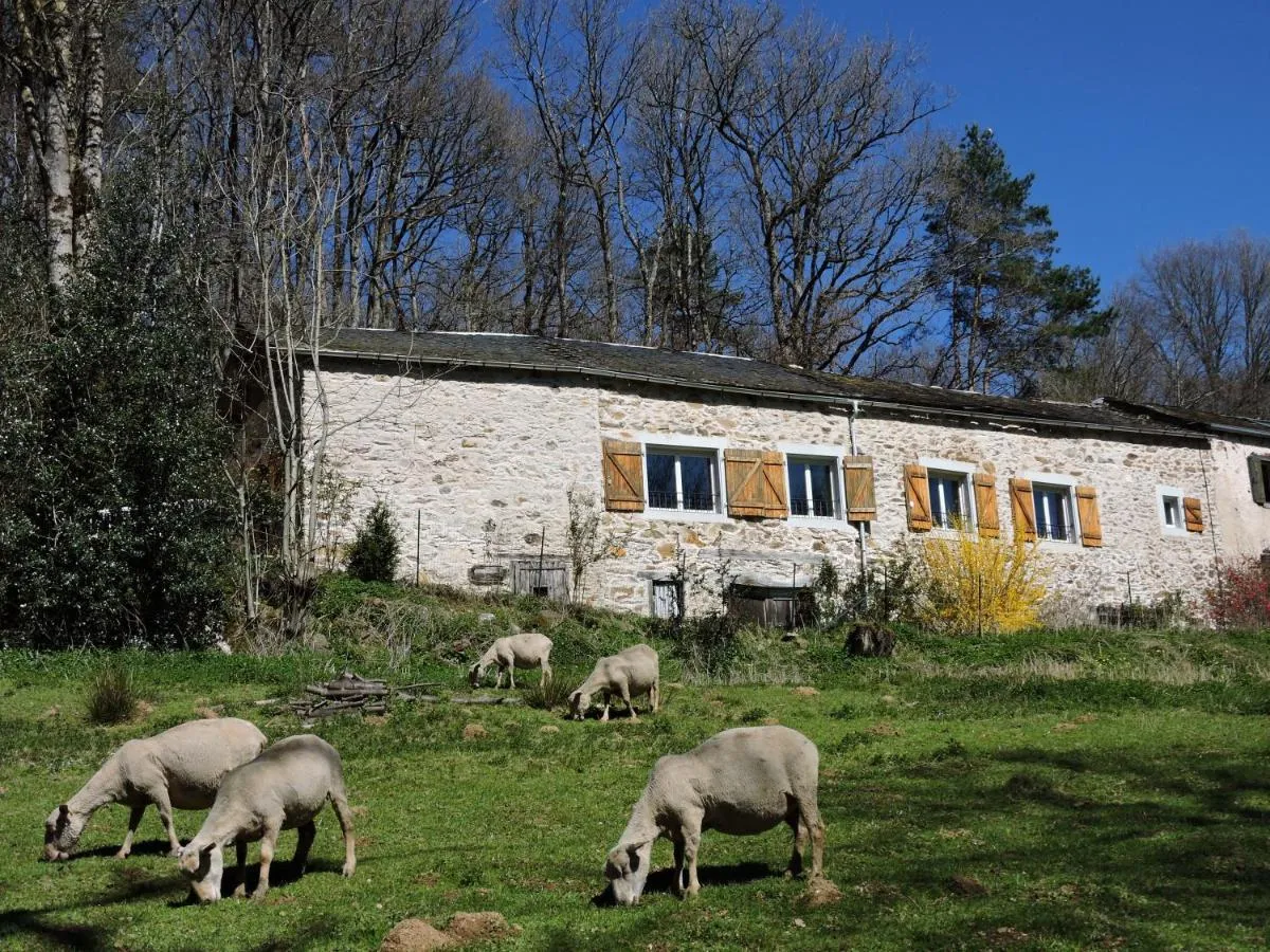 Gîte La Fenial (gîte à la ferme), Montredon-Labessonnié