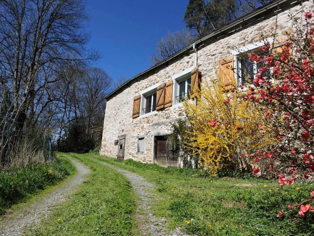 Gîte La Fenial, Montredon-Labessonnié : image 3