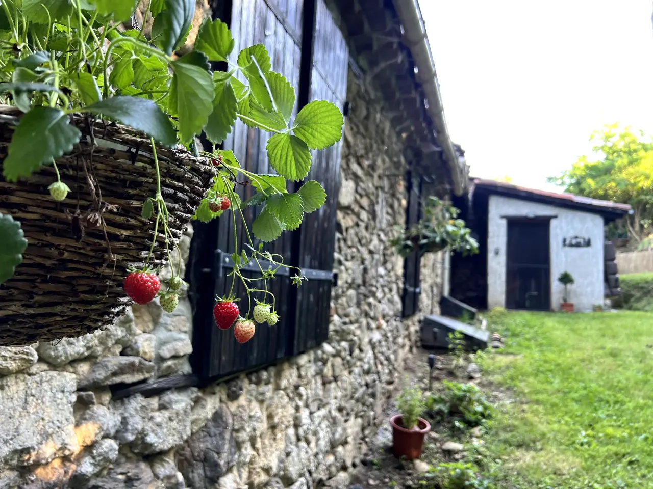 Gîte Parmi les Nuages, Foix : image 4