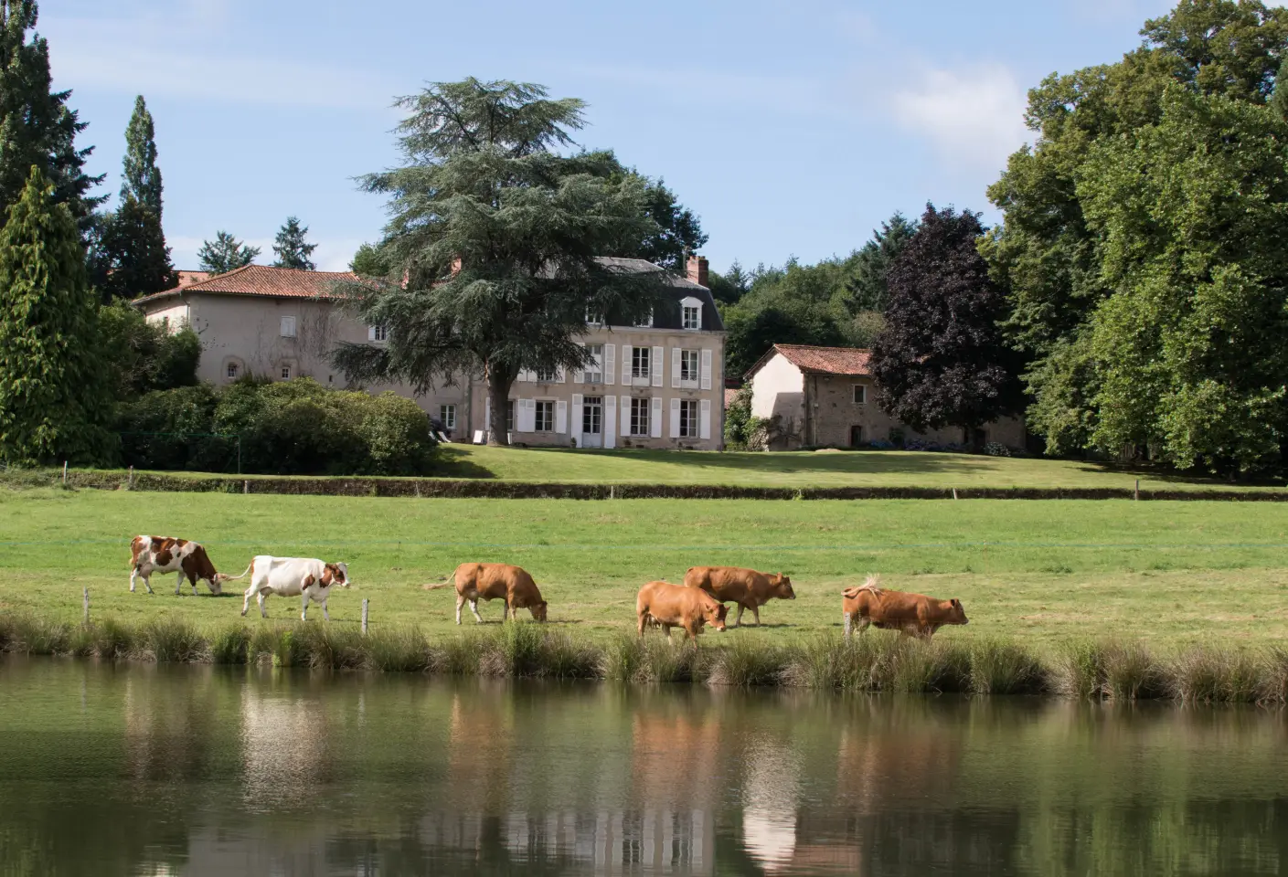 Gîte Rural du Masbareau (gîte à la ferme), Royères