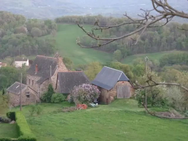 Gîte Safran (gîte à la ferme), Firmi