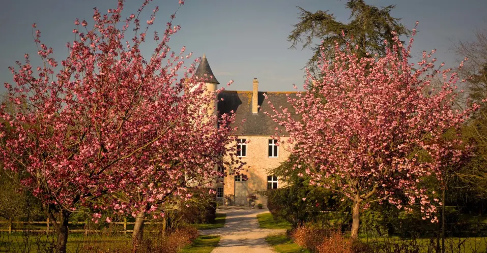 Gîtes du Château de Monfréville (gîte à la ferme), Monfréville