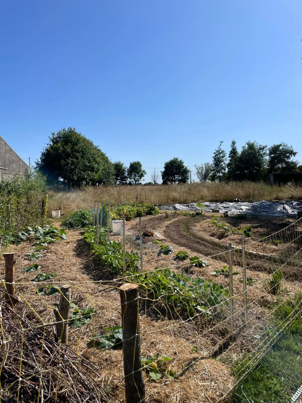 Glamping de l'Écodomaine de Bolan, Saint-Gérand-Croixanvec : image 3
