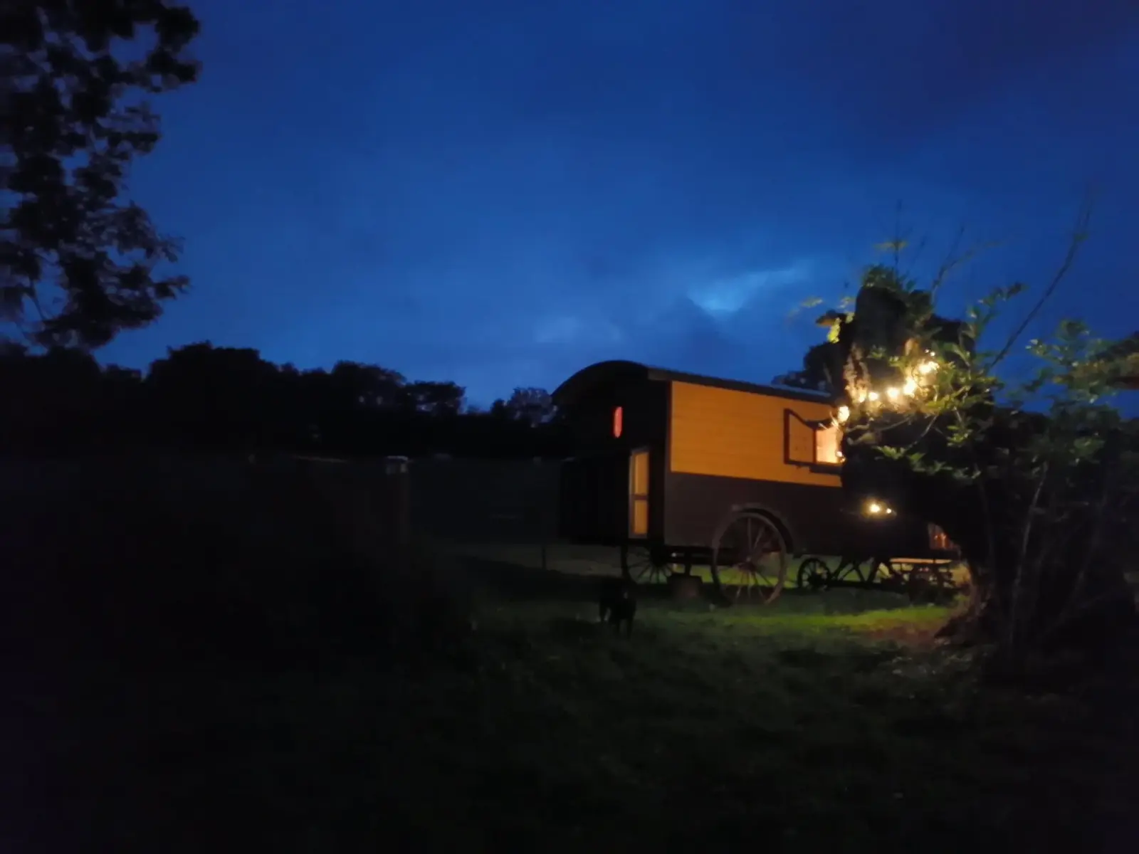 Glamping du Domaine d'Aliss, Le Thil-Riberpré : image 4