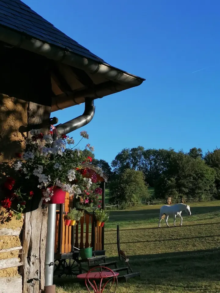 Glamping du Domaine d'Aliss, Le Thil-Riberpré : image 5