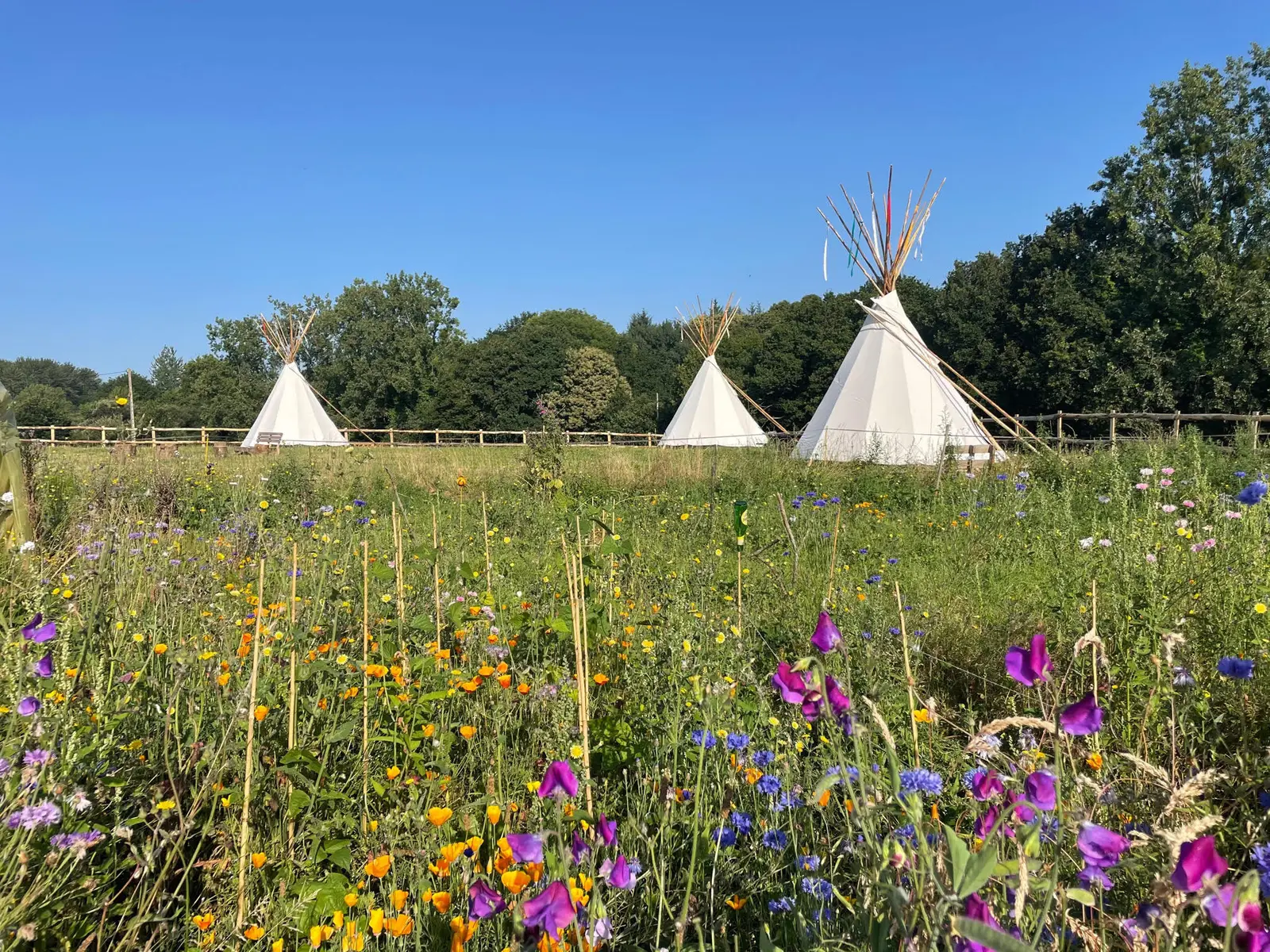Grand Tipi de Terra-Tipike, Trébry : image 2