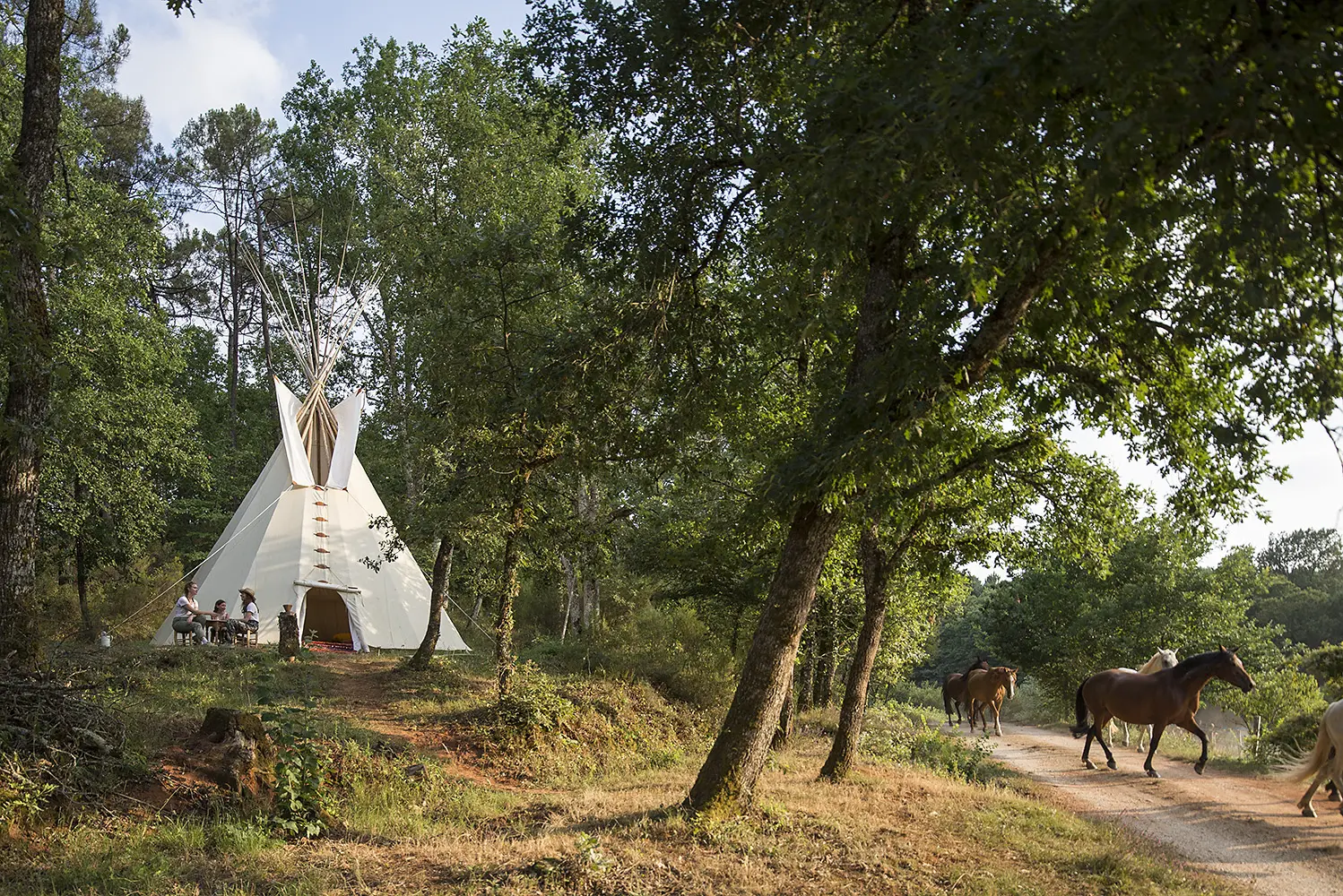 Grand Tipi Little Wolf (hébergement insolite à la ferme), Montcléra