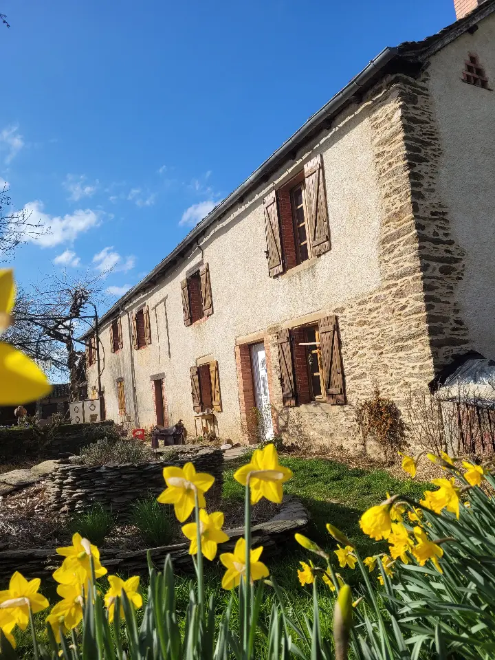Herbes folles (chambre d'hôtes à la ferme), Pampelonne