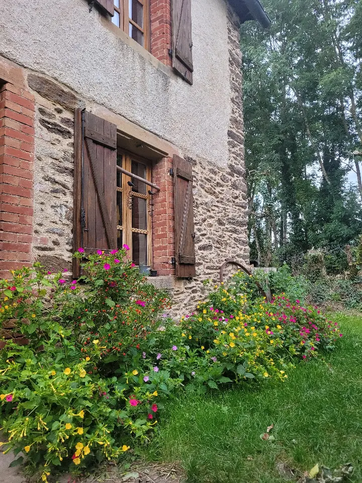 Herbes folles, Pampelonne : image 2