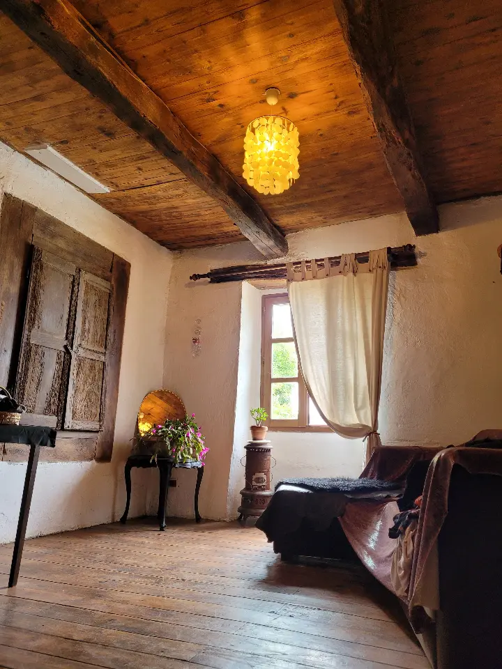Herbes folles, Pampelonne : image 3