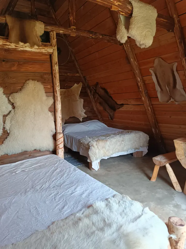Hutte druidique, Pleine-Fougères : image 5