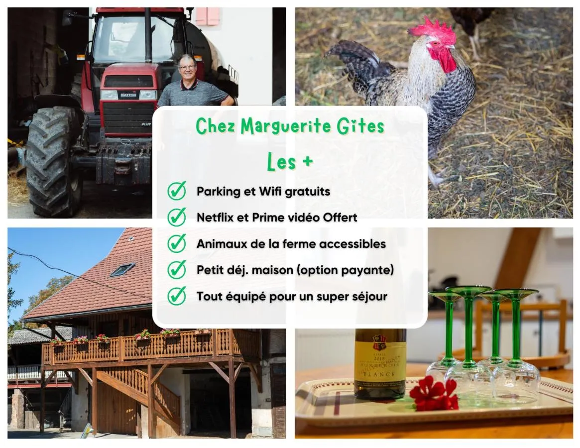Insolit'appart à la ferme, Horbourg-Wihr : image 3