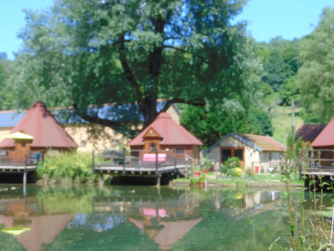 Kota Saami, Flize : image 2