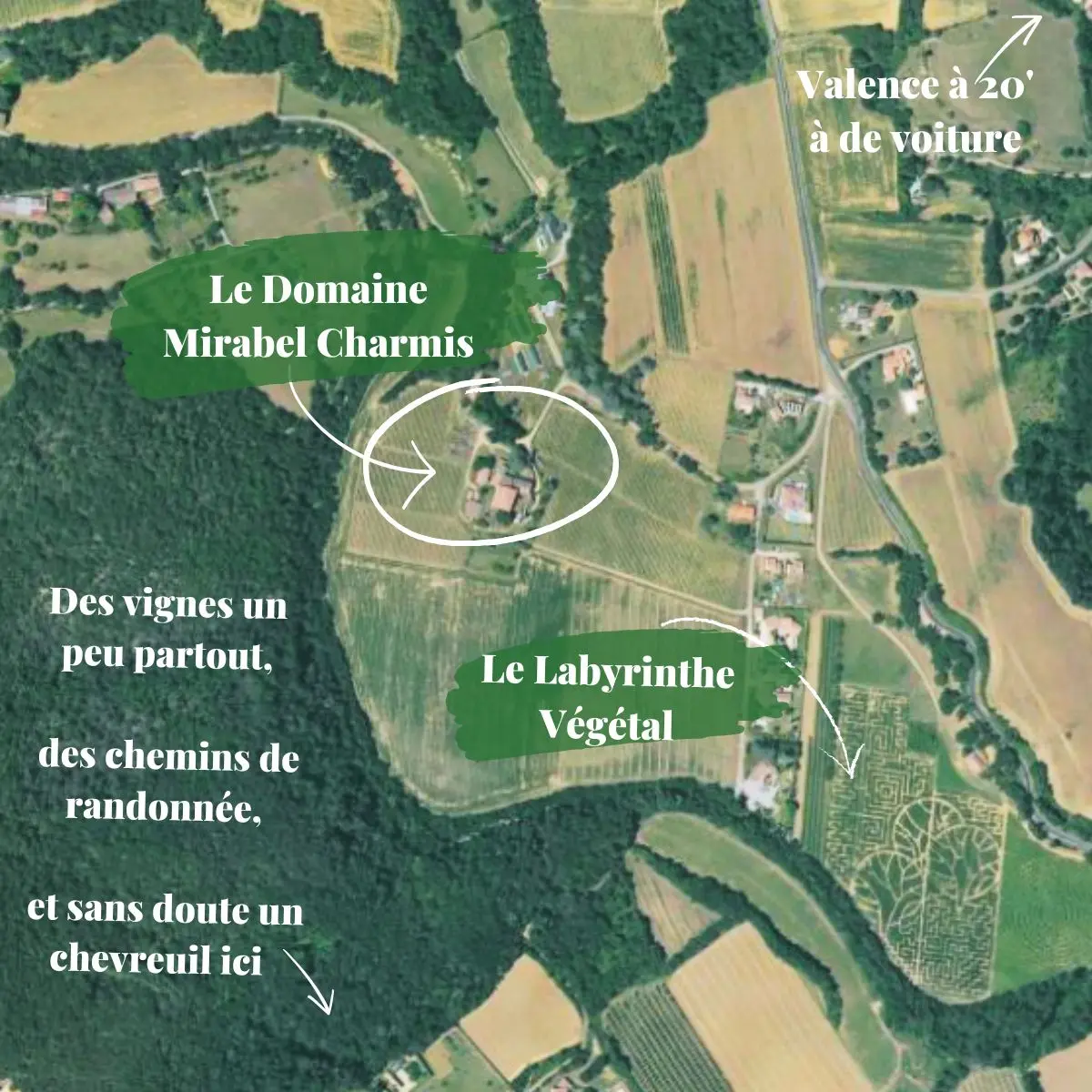 L'Antérion, Charmes-sur-Rhône : image 2