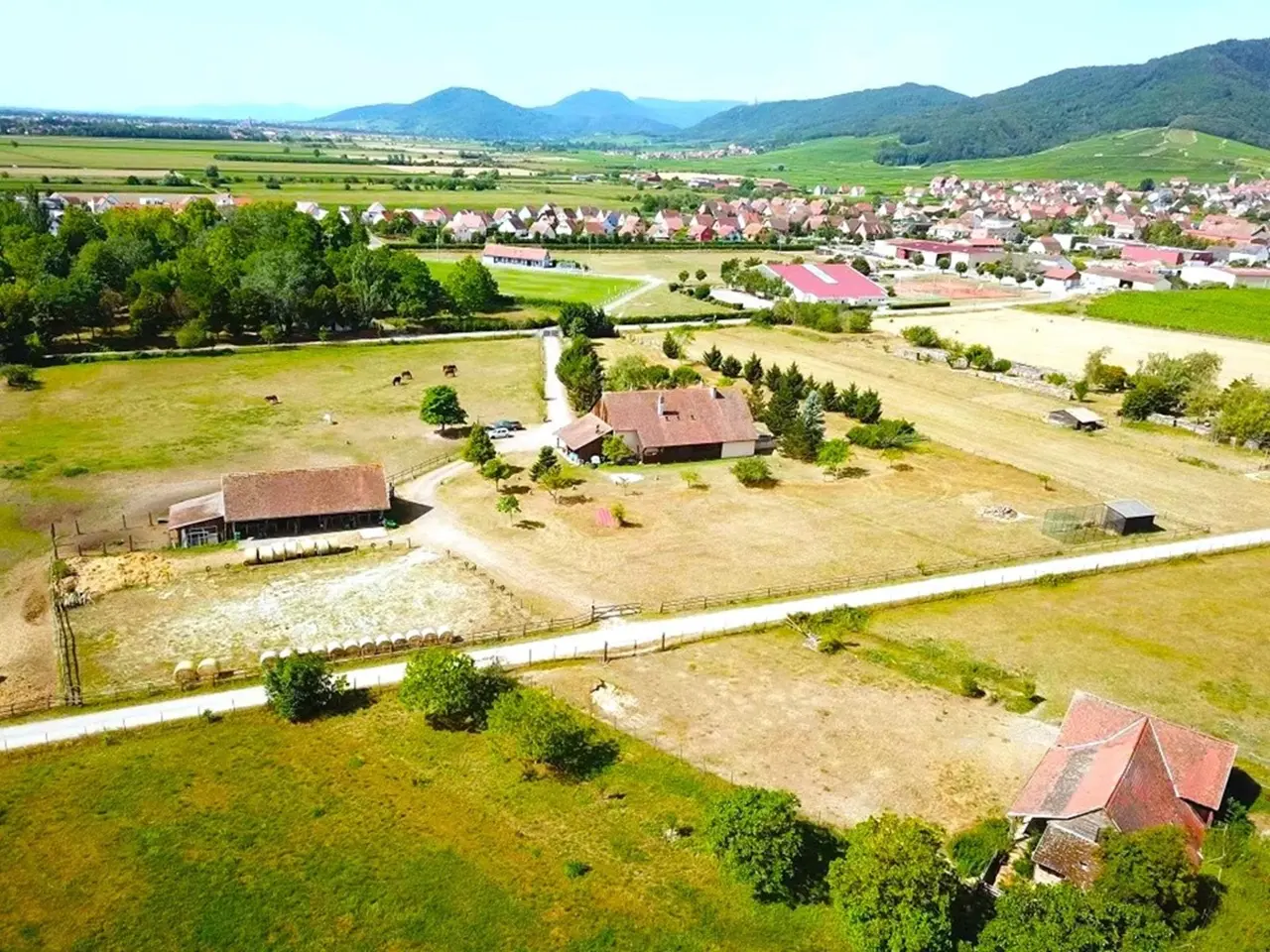 L'Étoile du Vignoble (gîte à la ferme), Dambach-la-Ville