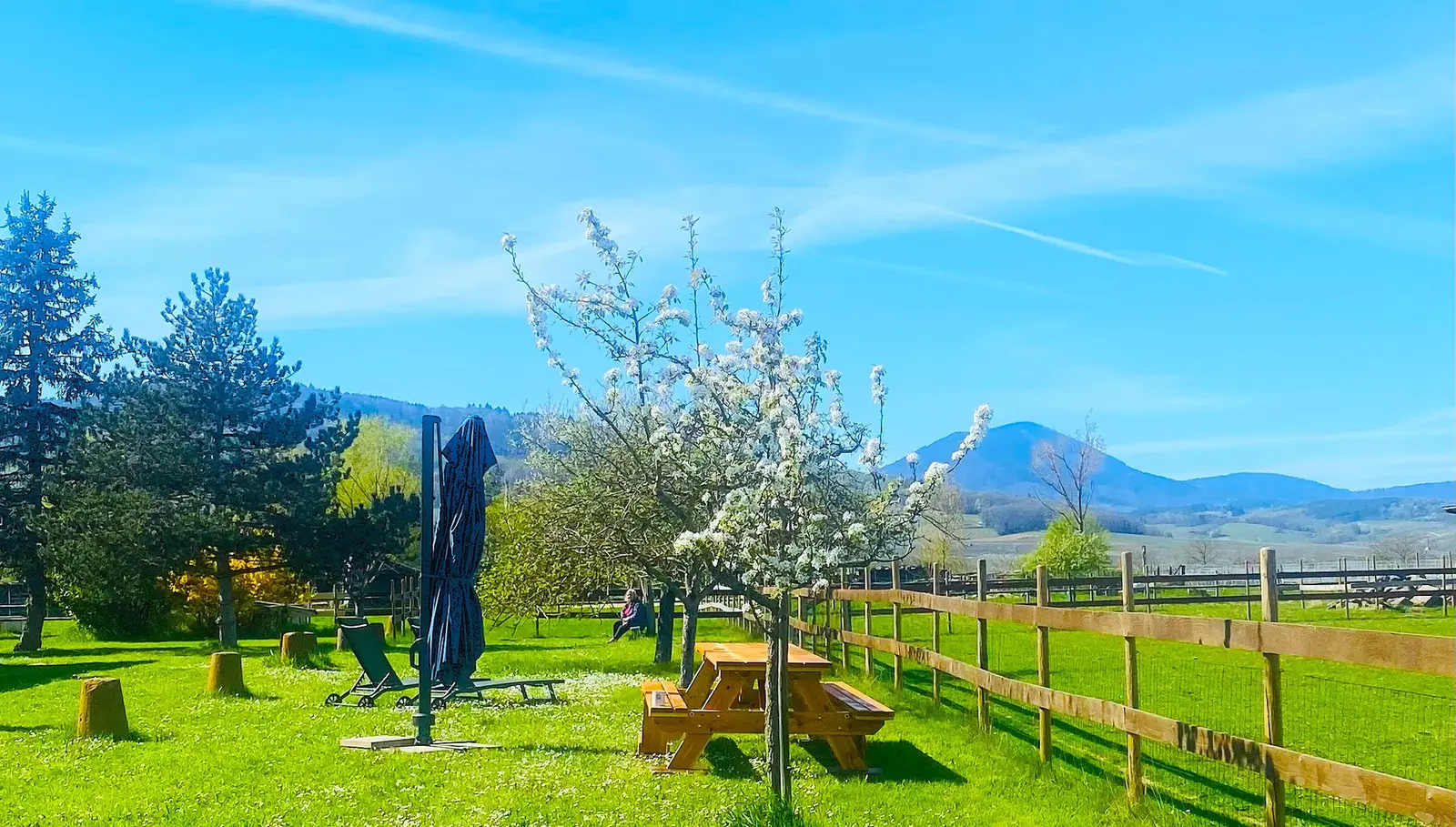 L'Étoile du Vignoble, Dambach-la-Ville : image 3