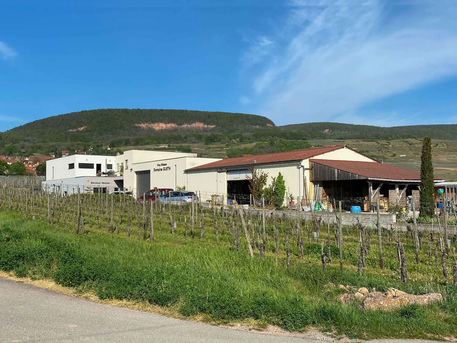 L'Inattendue du Domaine Gueth, Gueberschwihr : image 3