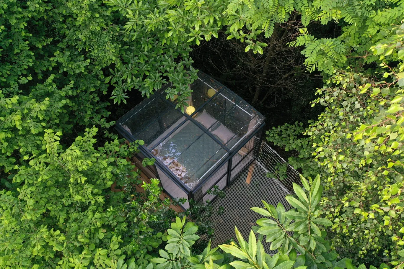 La Bulle des bois (hébergement insolite à la ferme), Les Tourreilles