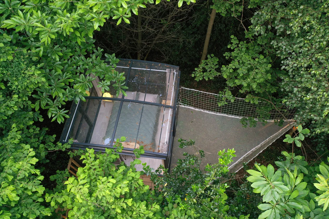 La Bulle des bois, Les Tourreilles : image 4