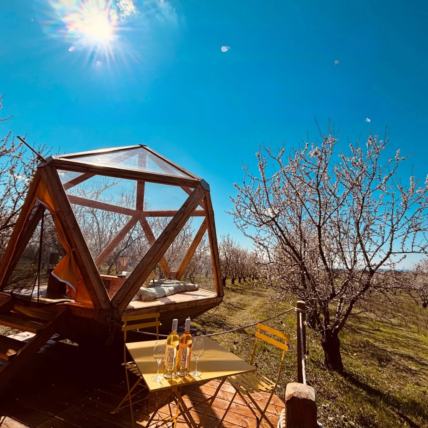 La Bulle Ico des Grandes Marges, Valensole : image 4