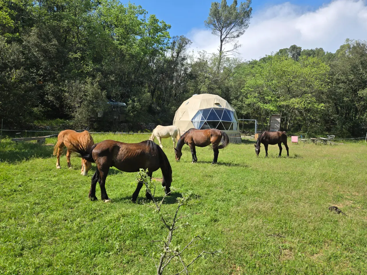 La Cabane aux chevaux (hébergement insolite à la ferme), Varages