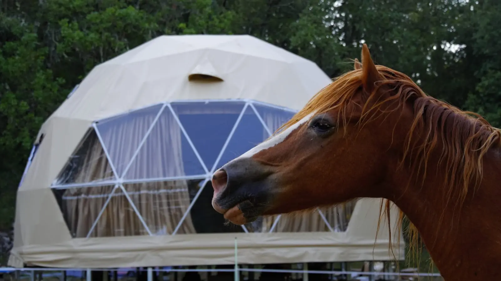 La Cabane aux chevaux, Varages : image 5