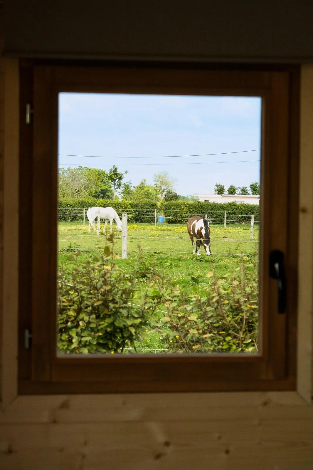 La Cabane de Chaume, Annouville-Vilmesnil : image 5