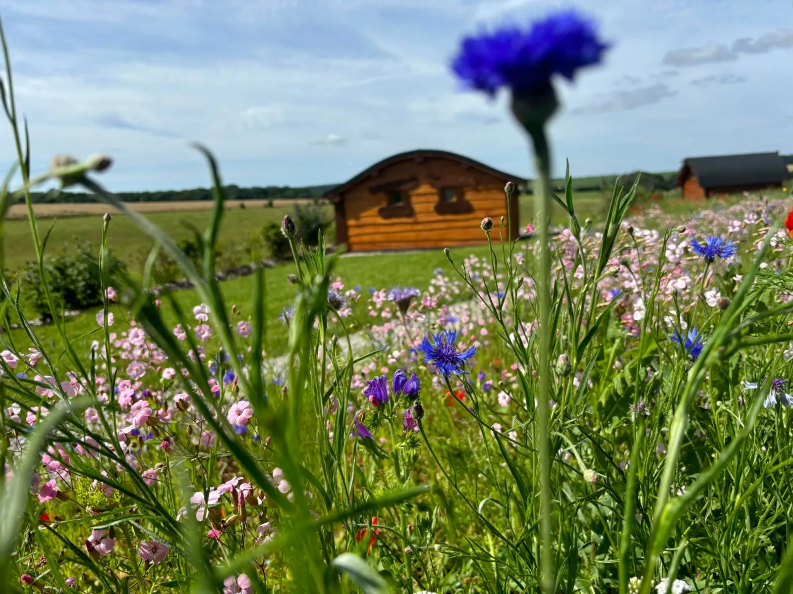 La Cabane Enchantée (hébergement insolite à la ferme), Romain-sur-Meuse