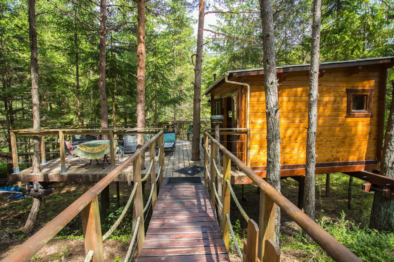 La Cabane perchée dans les arbres (hébergement insolite à la ferme), La Palud-sur-Verdon