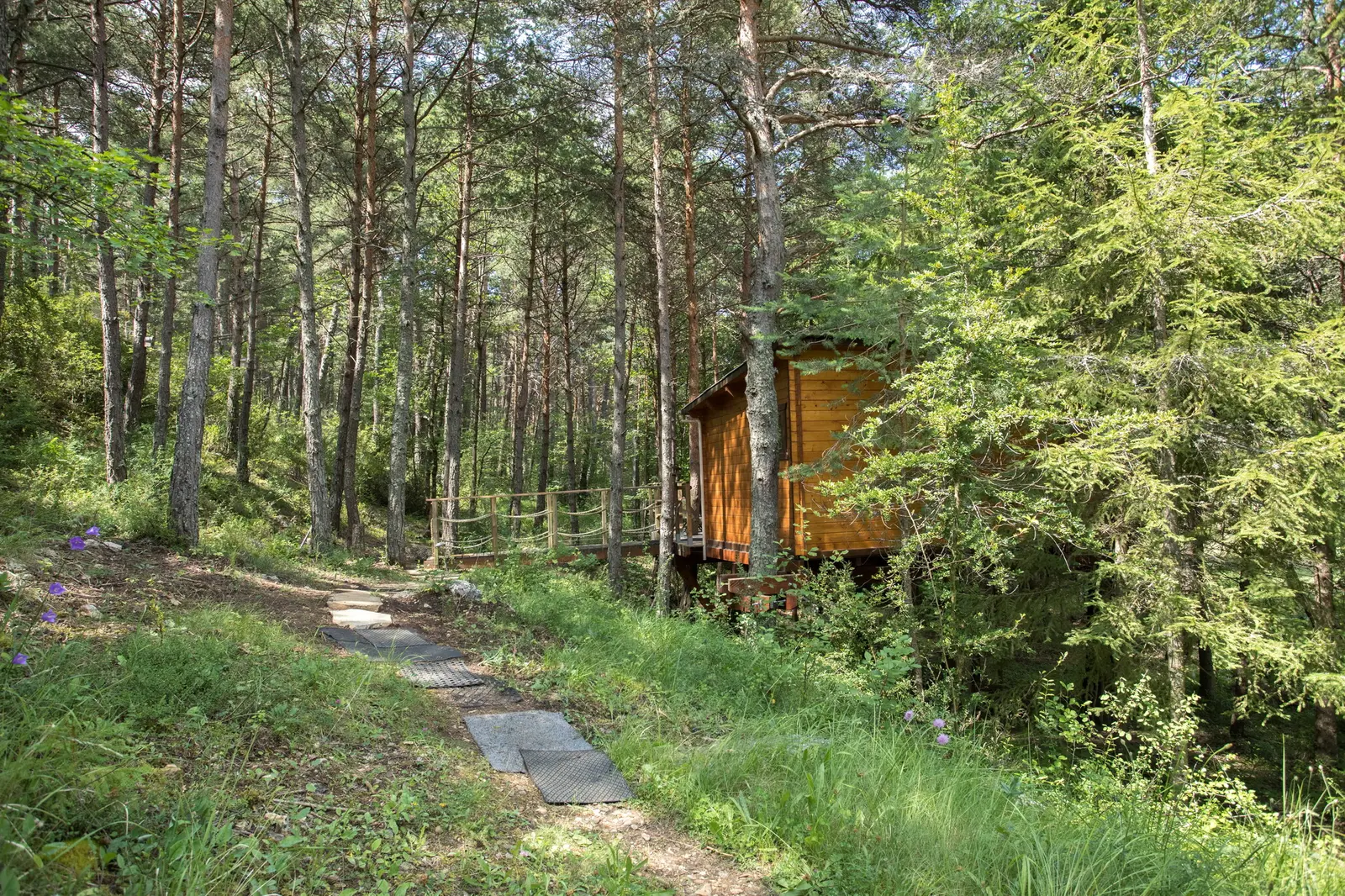 La Cabane perchée dans les arbres, La Palud-sur-Verdon : image 2