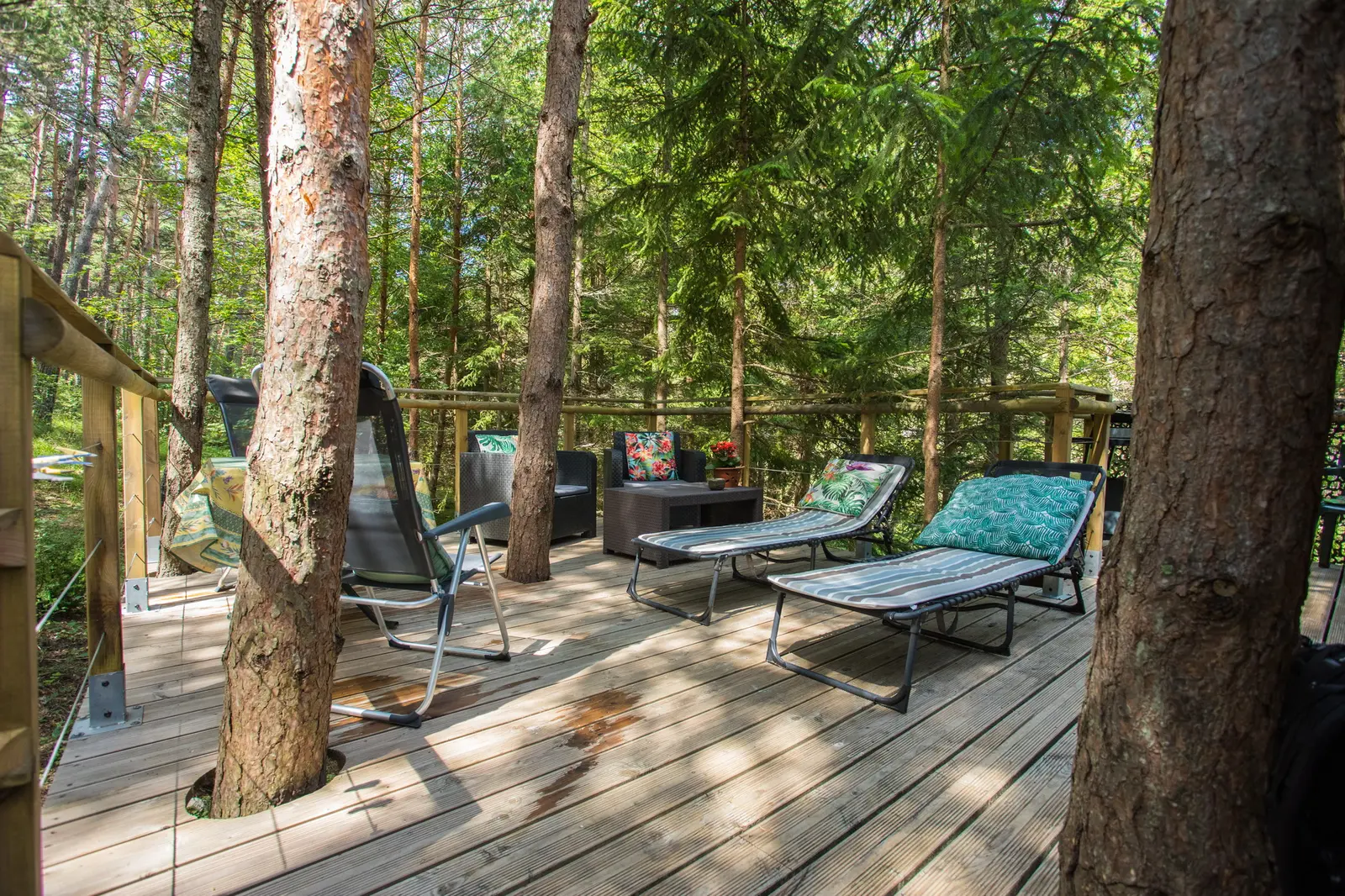 La Cabane perchée dans les arbres, La Palud-sur-Verdon : image 3