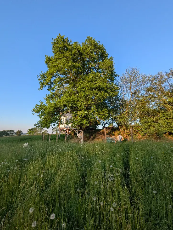 La Cabane Spa des Deux Chênes, Avrilly : image 2