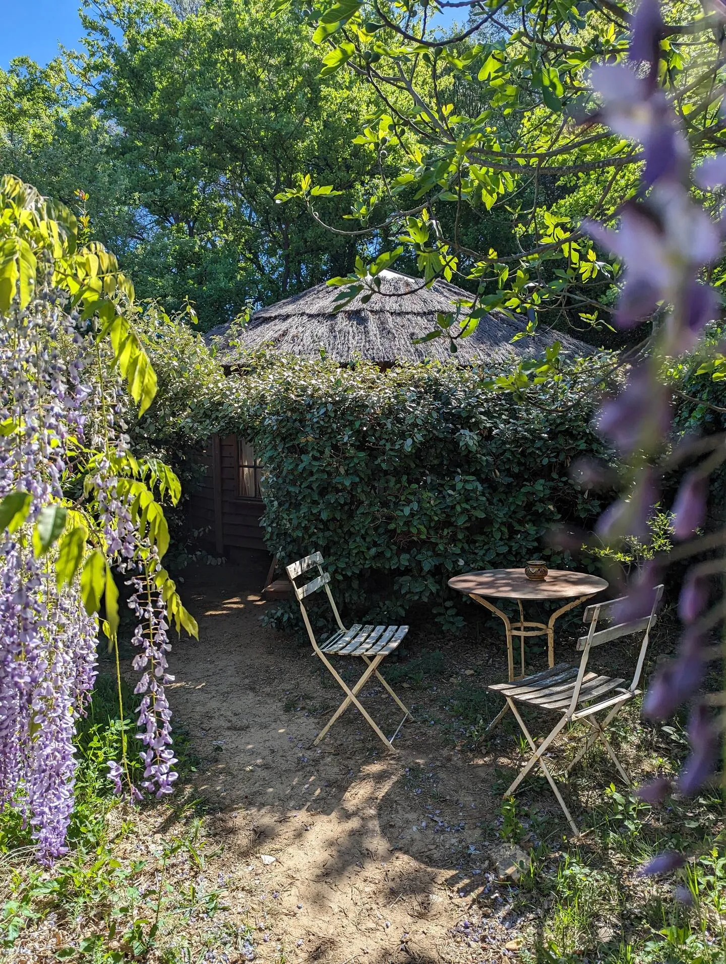 La Cabayourte, Barjols : image 3