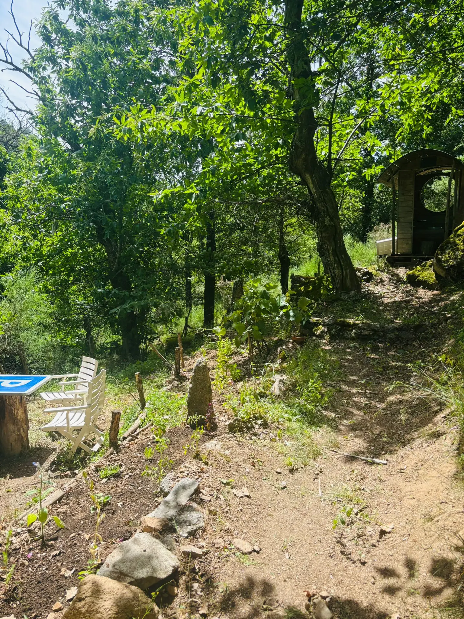 La Chouette Cabane, Ispagnac : image 2