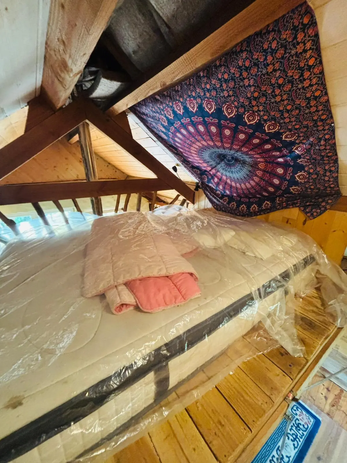 La Chouette Cabane, Ispagnac : image 5