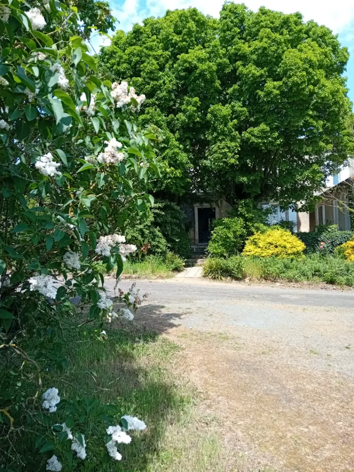 La Cuty P. à La Rouhaudrie (chambre d'hôtes à la ferme), Sérigné