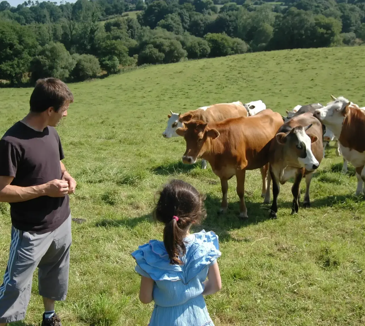 La Ferme de Penquelen, Scaër : image 2