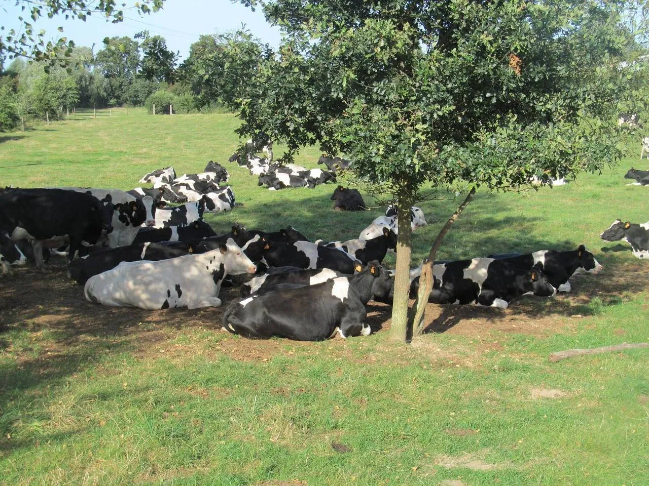 La Ferme des Récollets, Sainte-Marie-Cappel : image 5