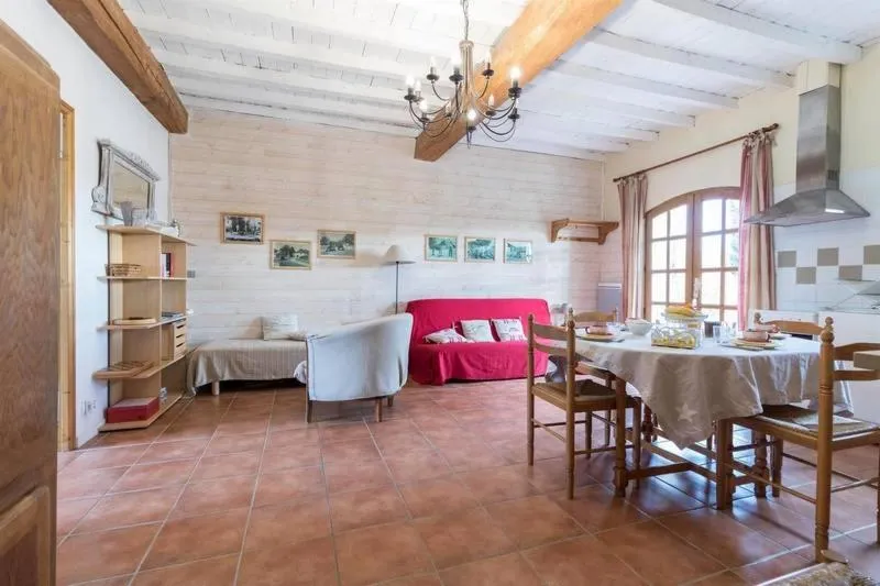 La Ferme Montplaisir, Montesquieu-Volvestre : image 5