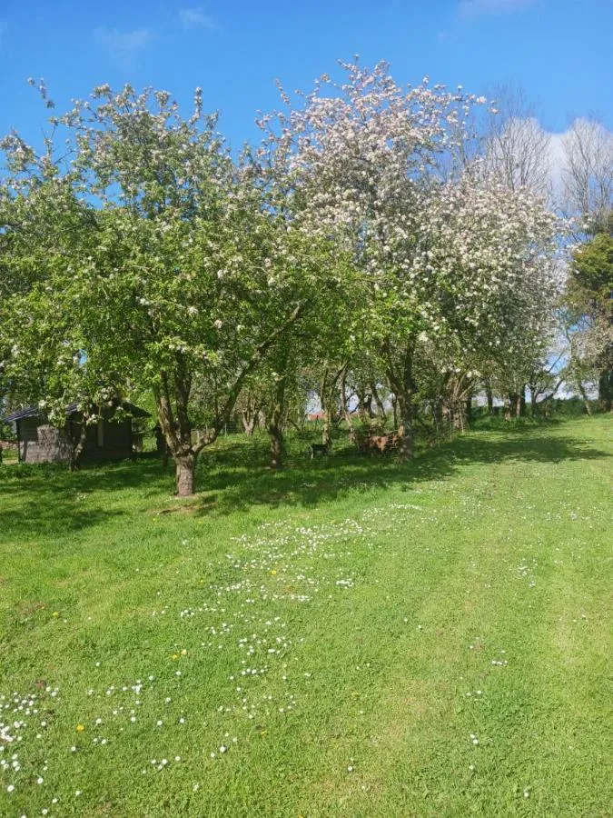 La Ferme Stanczak, Tréguier : image 4