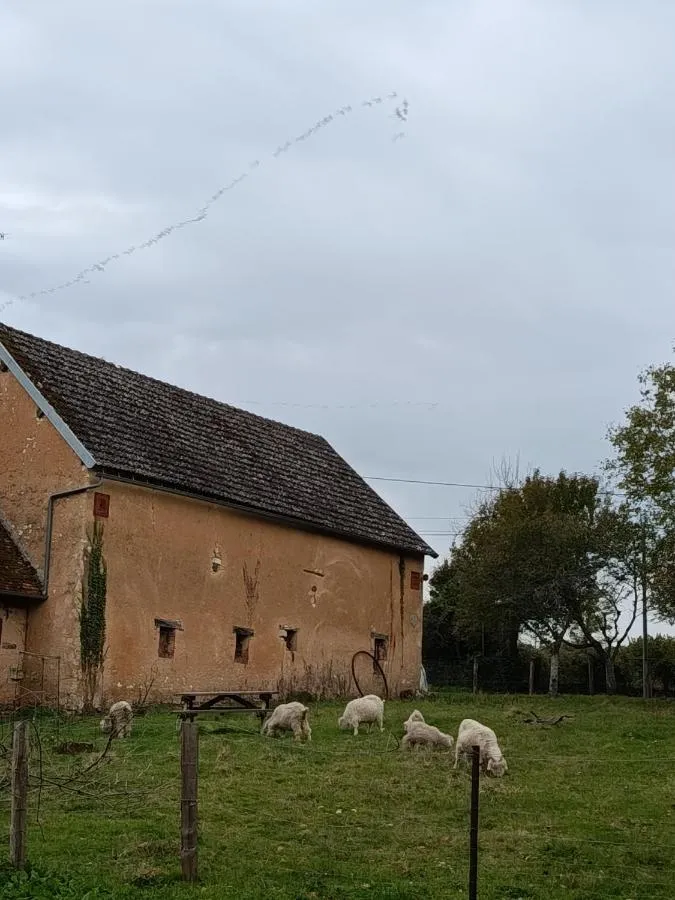 La Fermette de Vrinette (chambre d'hôtes à la ferme), Saint-Vérain