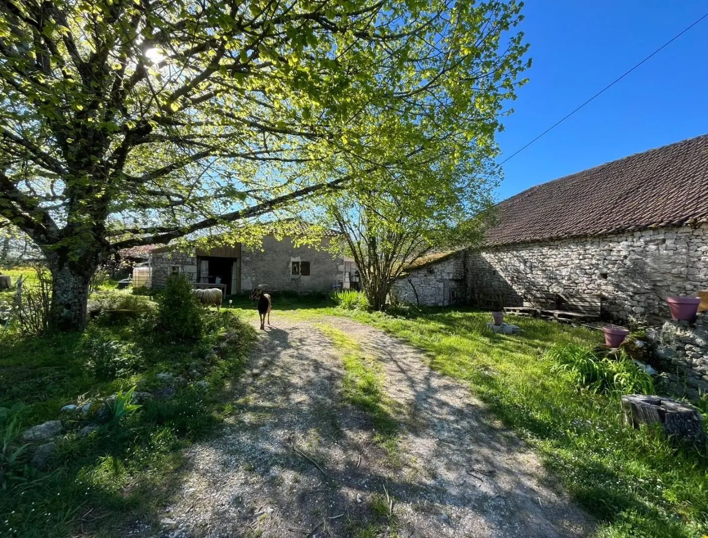 La Forêt Indigo (gîte à la ferme), Courbiac