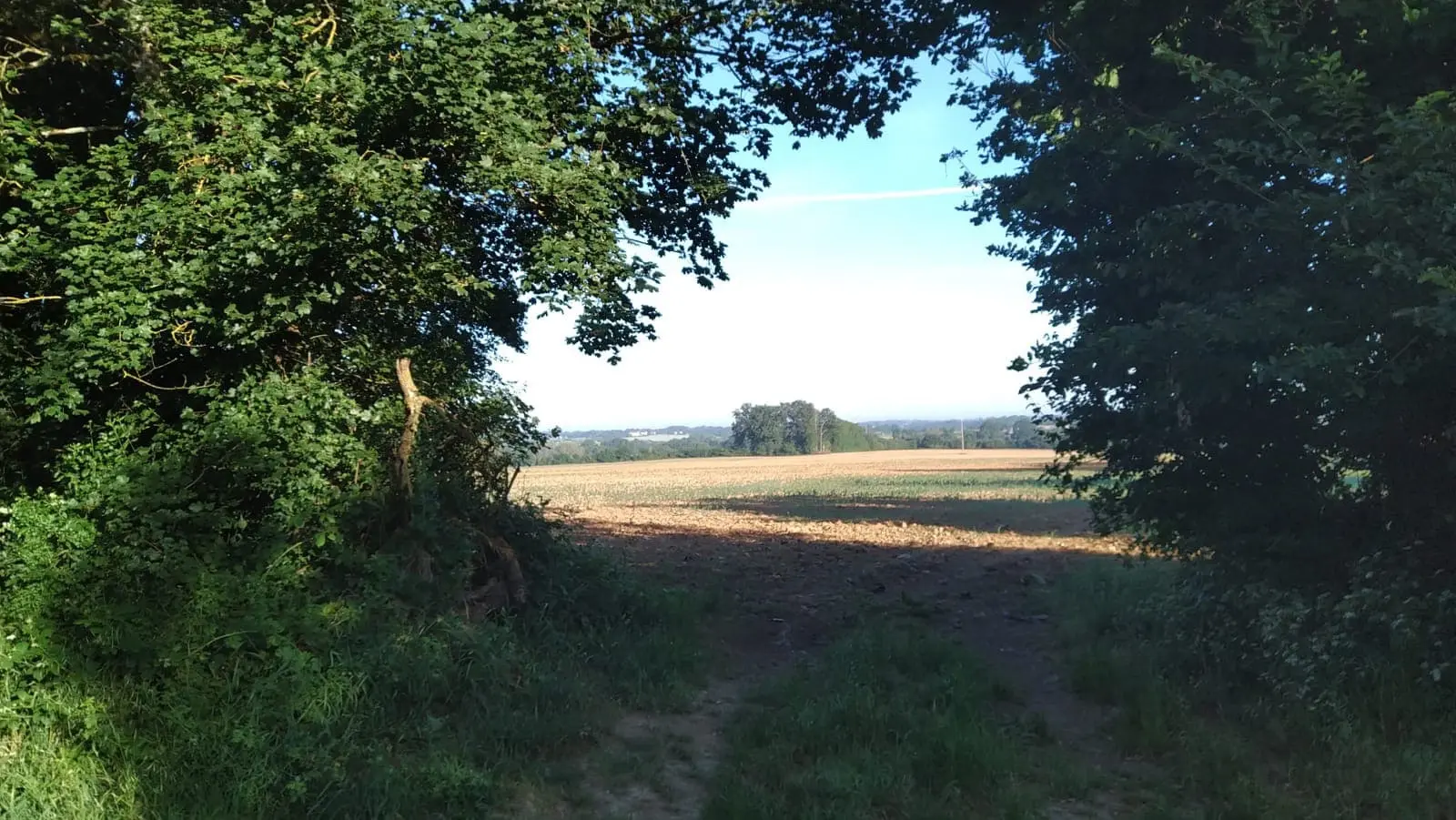 La Grande Grange 89, Saint-Martin-des-Champs : image 2