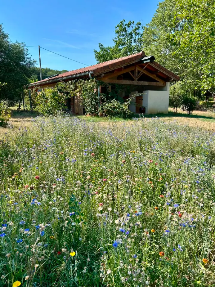 La Grange d'Ô Potager des Candides, Grenade : image 3