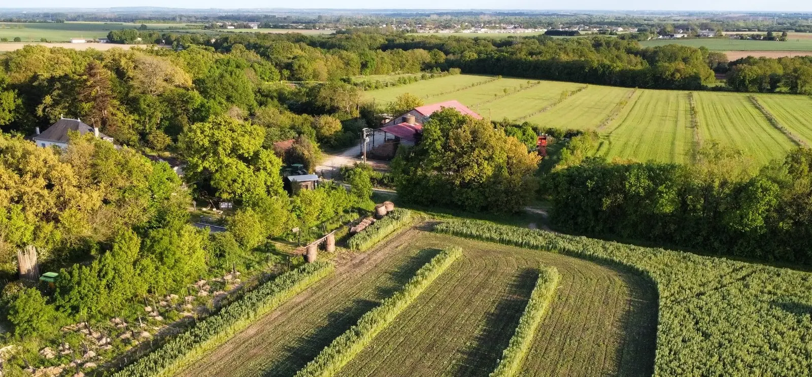 La Grange de la Ferme du Mont d'Or, Le Thou : image 2