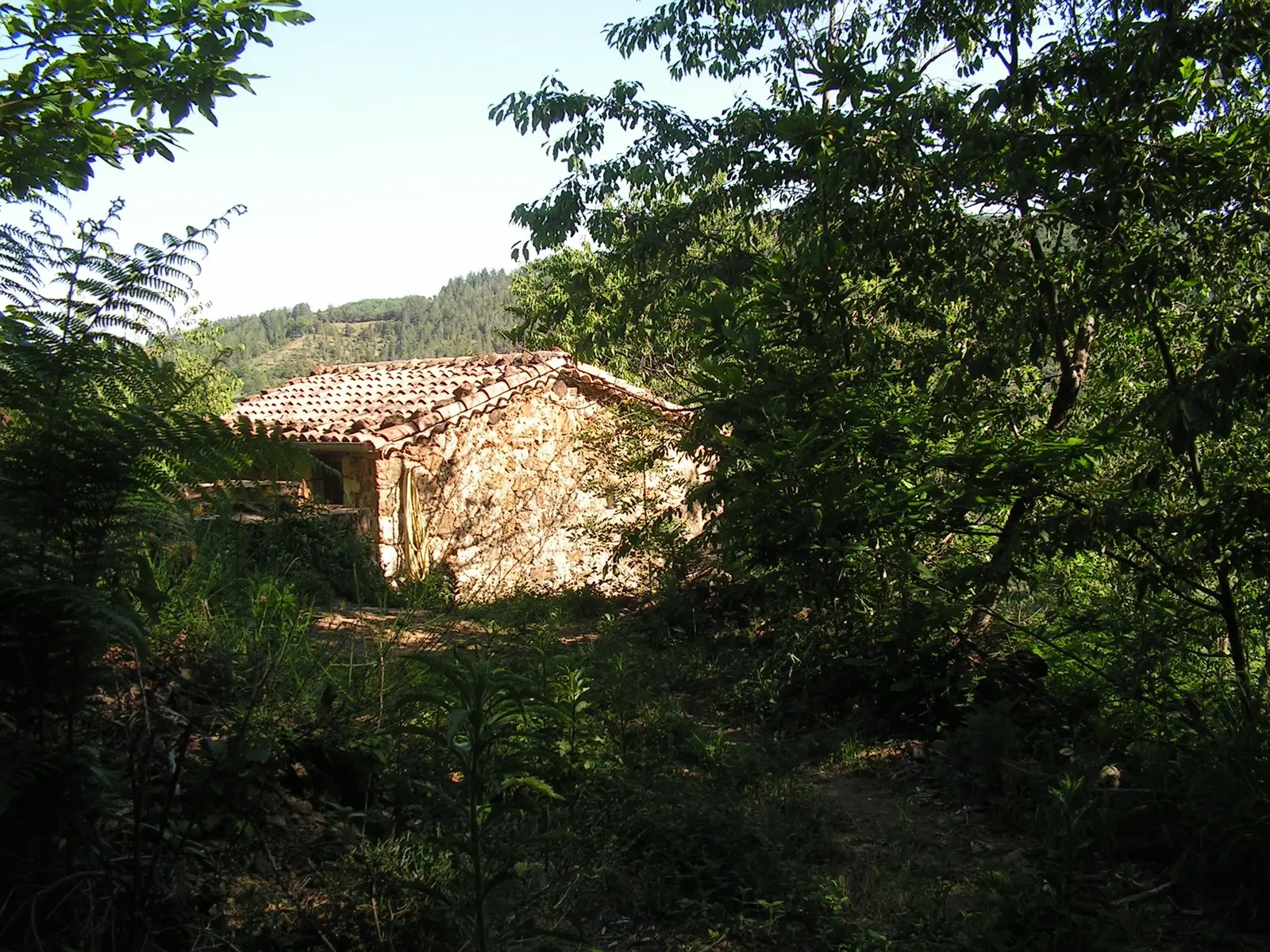 La Grangette des Lamas, Rocles : image 2