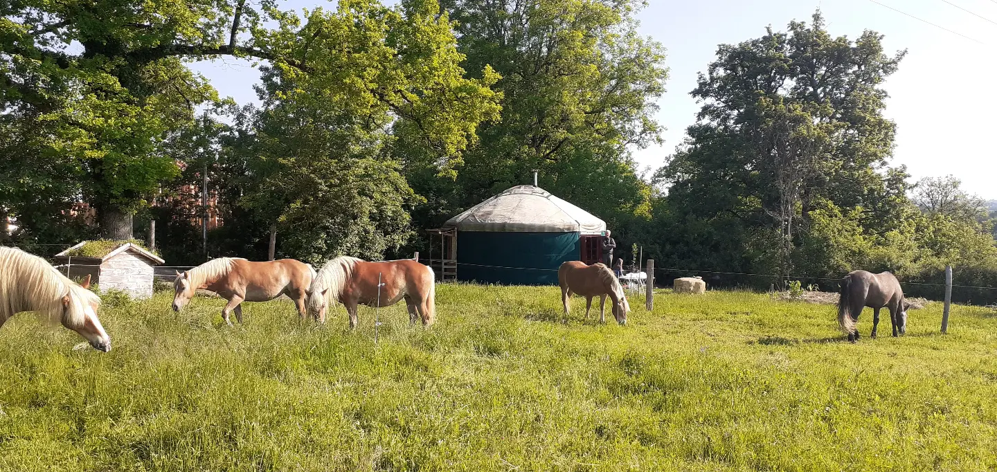 La Jumenterie du Pech Blanc (hébergement insolite à la ferme), Théminettes
