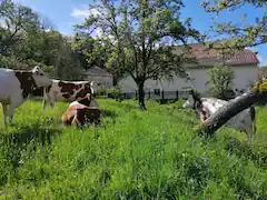 La Louve chez Valérie (chambre d'hôtes à la ferme), Châtelneuf