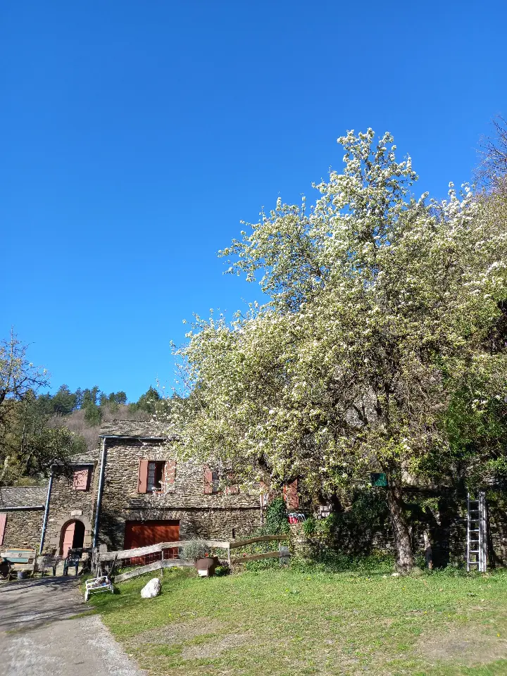 La Magnanerie, Saint-Germain-de-Calberte : image 2