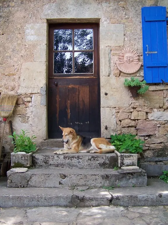 La Maisonnette du Mas de Jammes, Villeneuve : image 5